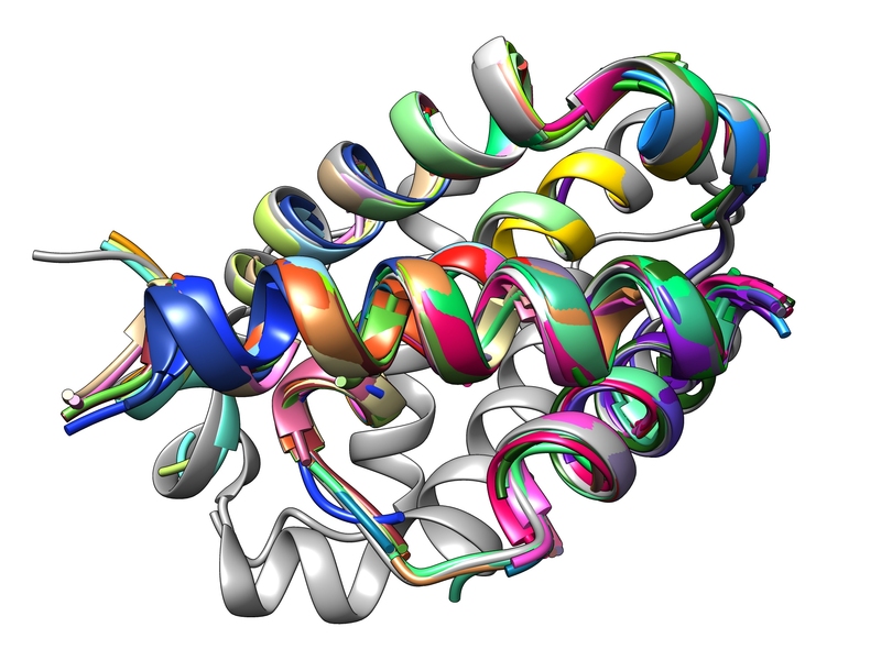 peptide peptide